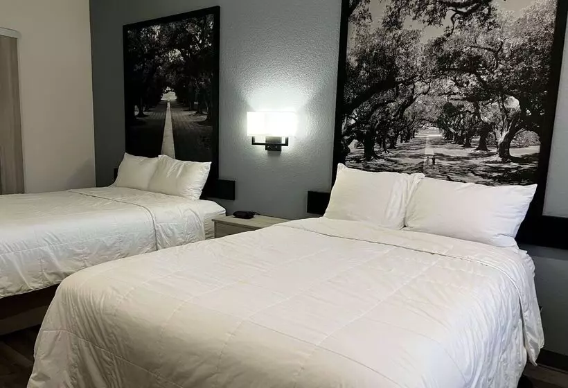 酒店 Super 8 By Wyndham Rosenberg Tx