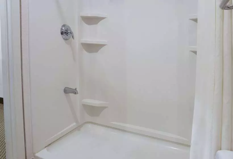 酒店 Super 8 By Wyndham Rosenberg Tx