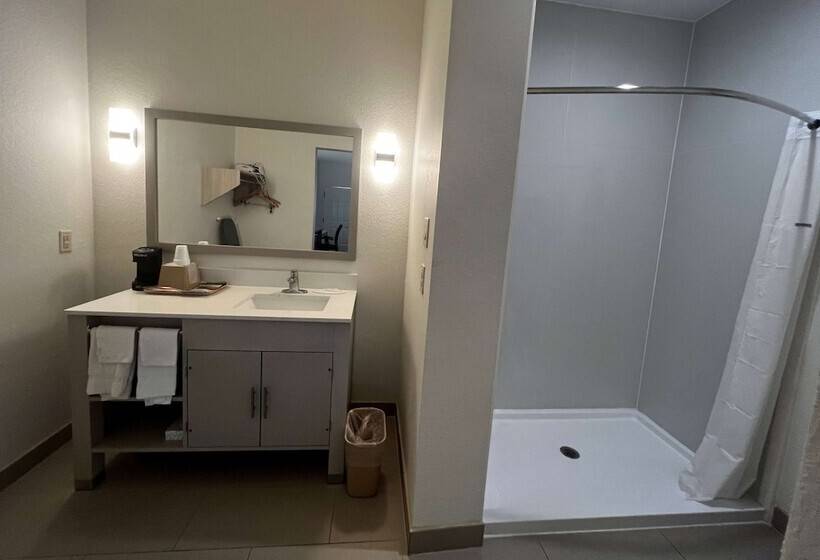 فندق Super 8 By Wyndham Rosenberg Tx