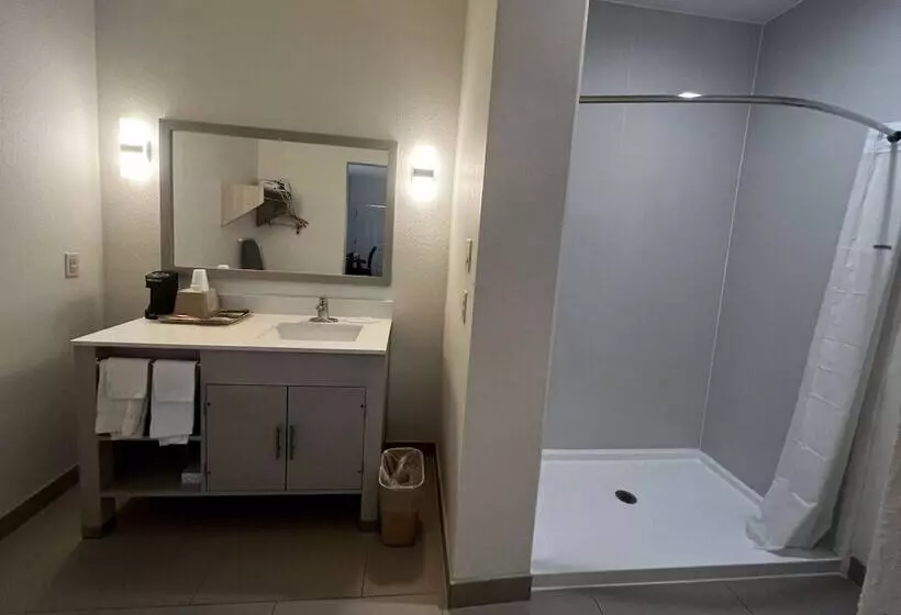 酒店 Super 8 By Wyndham Rosenberg Tx