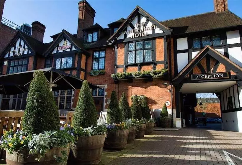 酒店 The White Hart