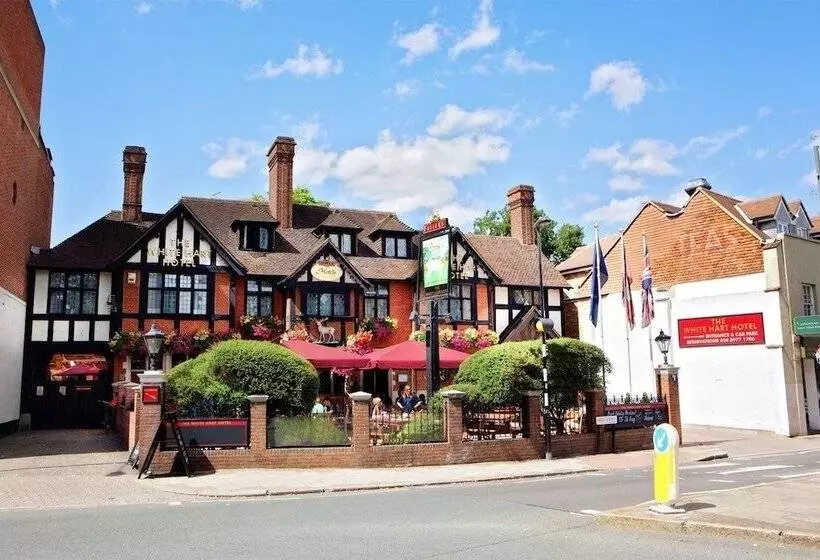 酒店 The White Hart
