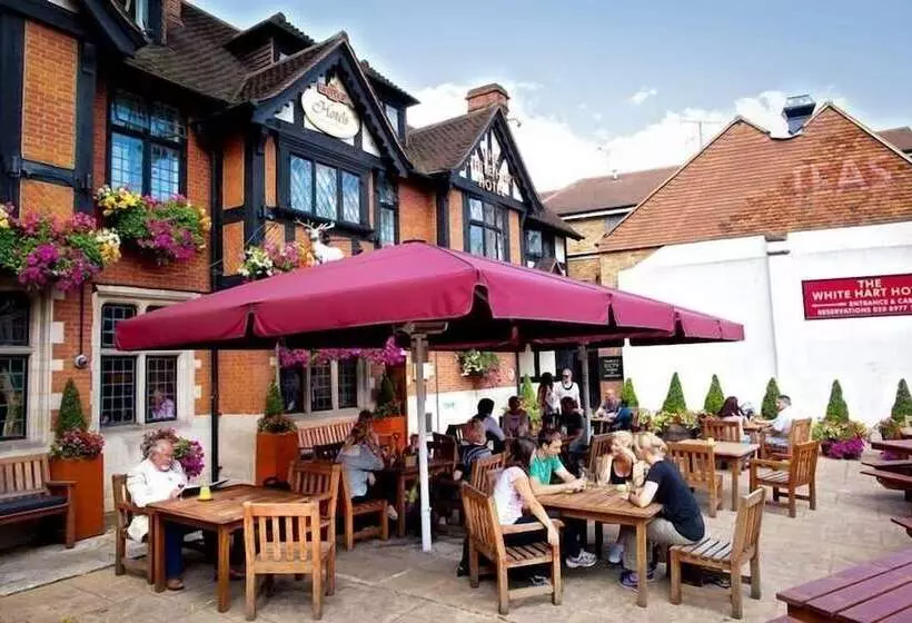 酒店 The White Hart