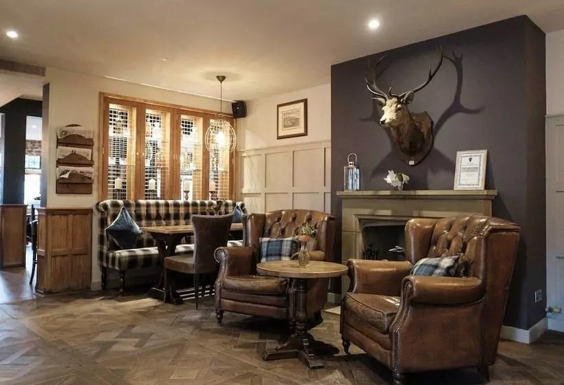 酒店 The White Hart