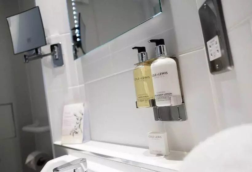 酒店 The White Hart