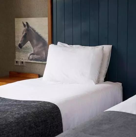 호텔 White Rabbit By Chef & Brewer Collection