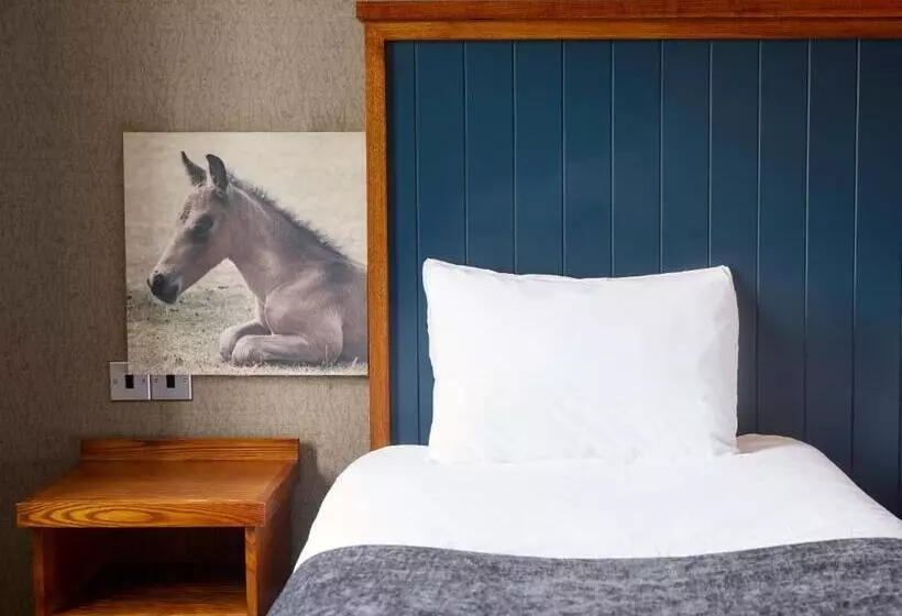 호텔 White Rabbit By Chef & Brewer Collection