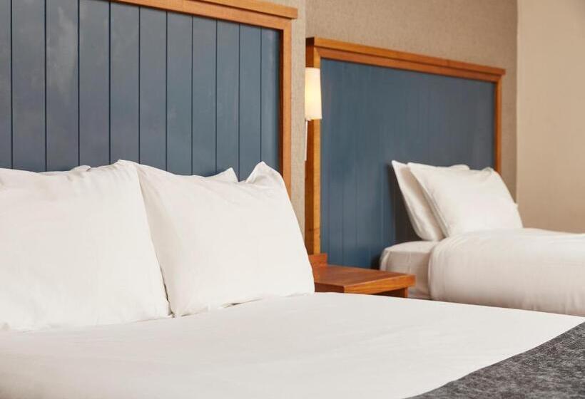 호텔 White Rabbit By Chef & Brewer Collection