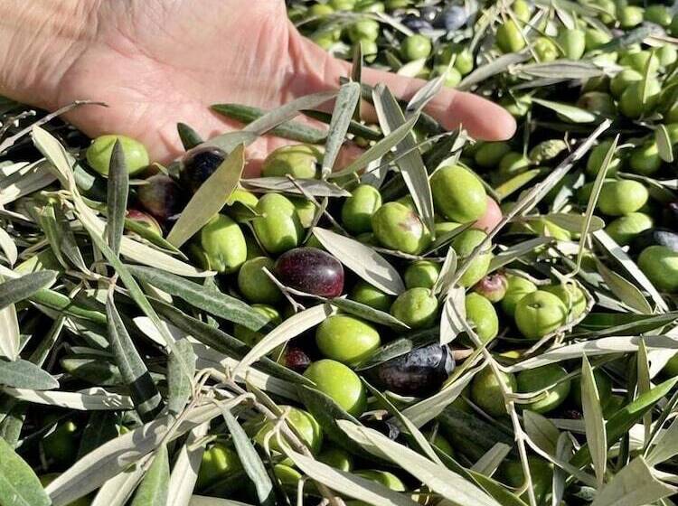 ホテル Bajo El Cejo