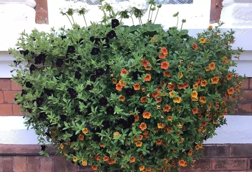 ホテル The Bowden Lodge