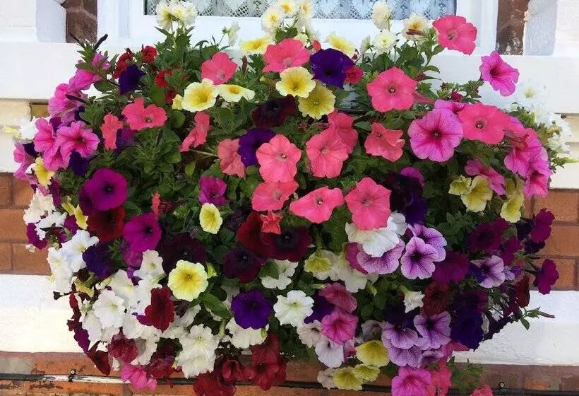 ホテル The Bowden Lodge