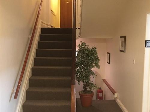 בית מלון כפרי City Centre Guest House