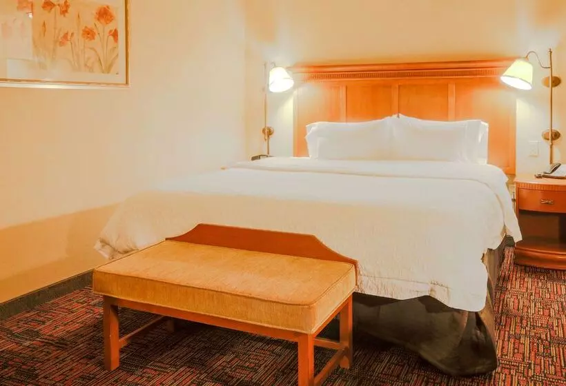 酒店 Hampton Inn & Suites By Hilton Tomball Houston Nw