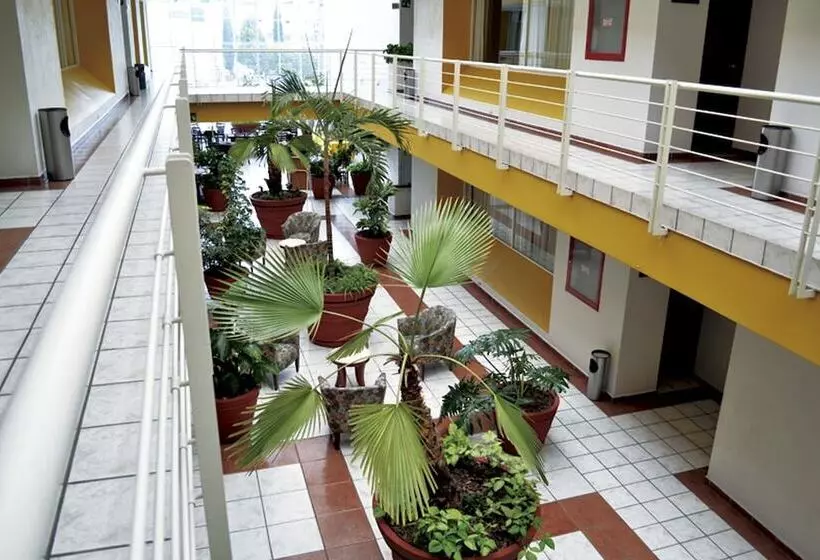 ホテル Mediterraneo Sa De Cv