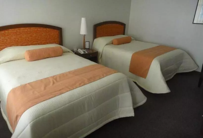 ホテル Mediterraneo Sa De Cv