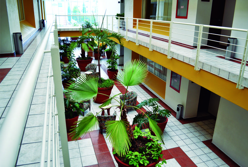 בית מלון כפרי Mediterraneo Sa De Cv