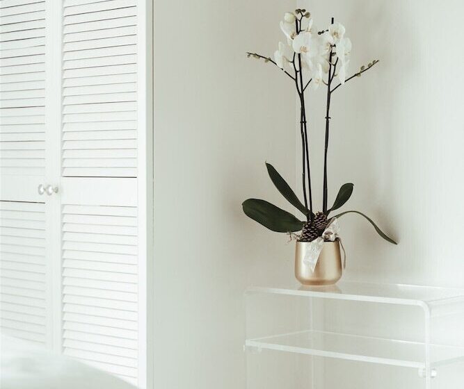 فندق The Falcon Painswick