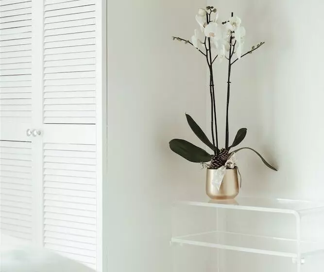 Hotel The Falcon Painswick