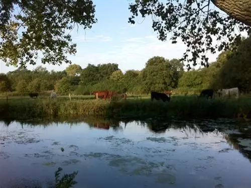 酒店 The Long Melford Accommodation