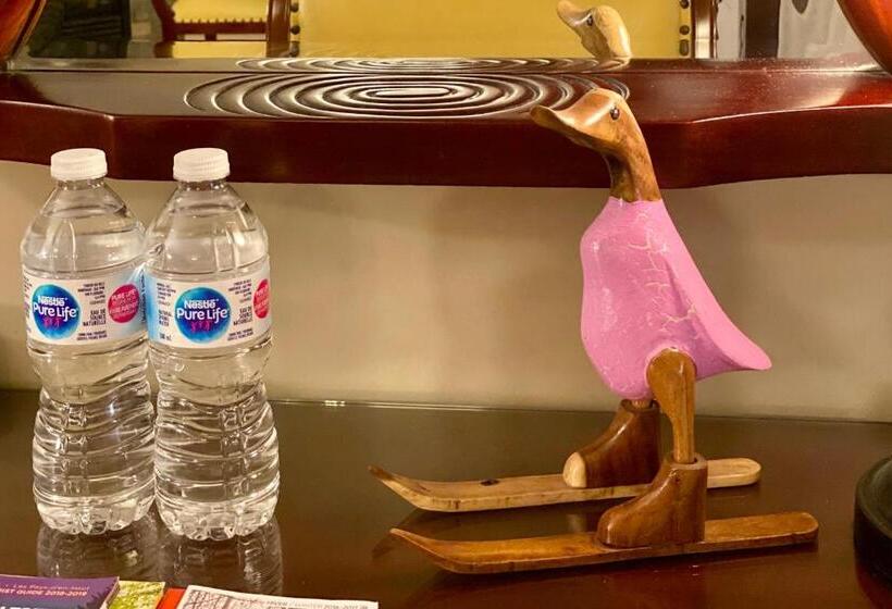 St Sauveur Lovely Studio