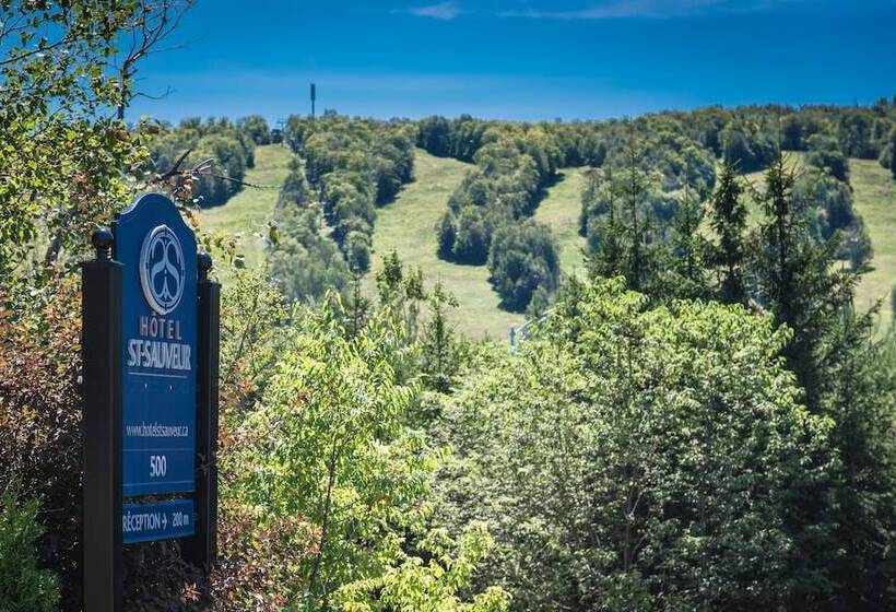 St Sauveur Lovely Studio