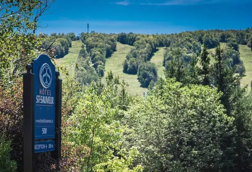 St Sauveur Lovely Studio