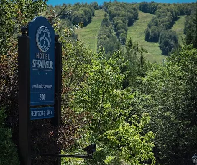 St Sauveur Lovely Studio