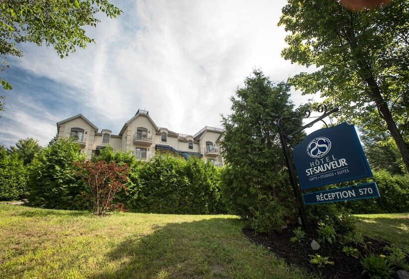 St Sauveur Lovely Studio