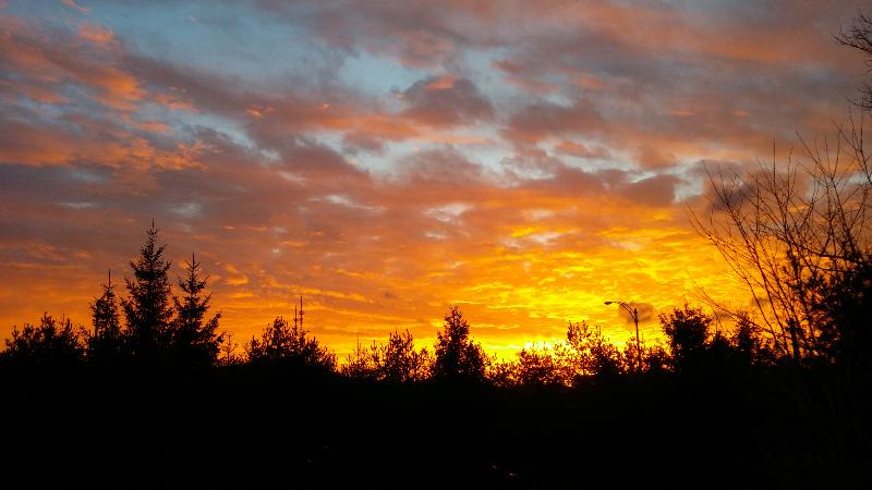 St Sauveur Lovely Studio