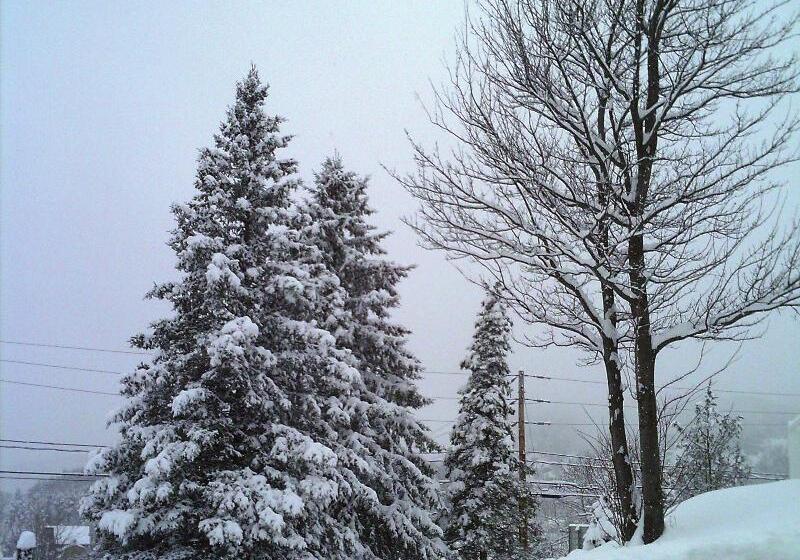 St Sauveur Lovely Studio