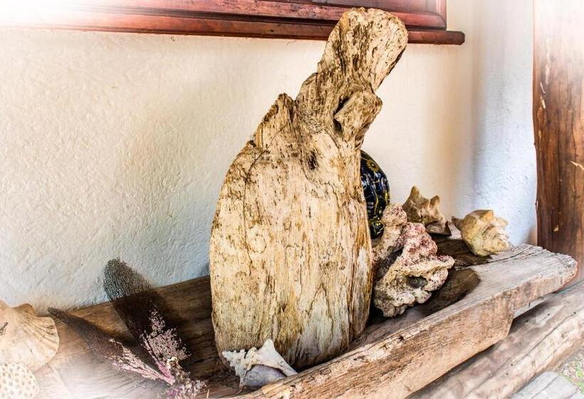 Apart Hotel Casaejido