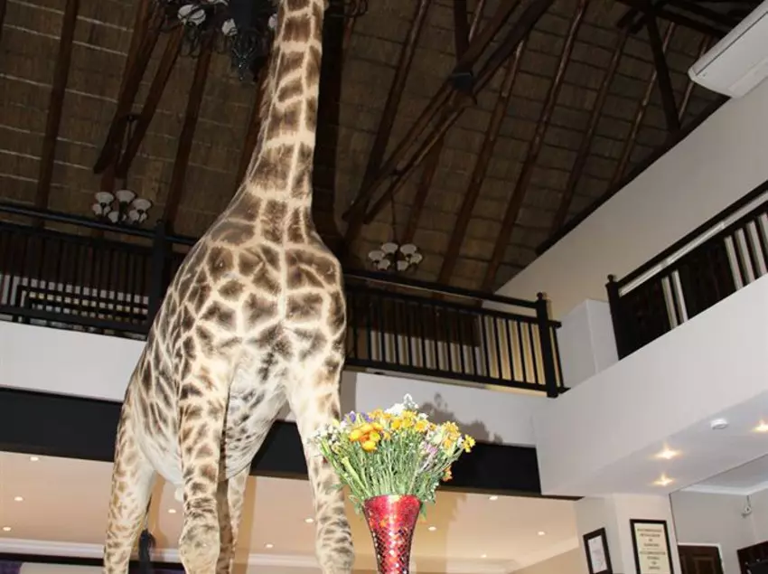 Bed & Breakfast Bains Chalet Park