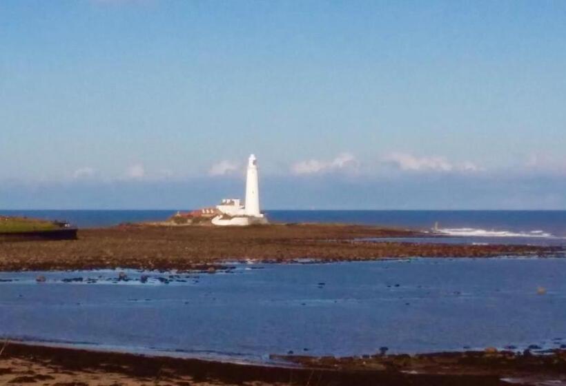 مبيت وإفطار Cara Guesthouse