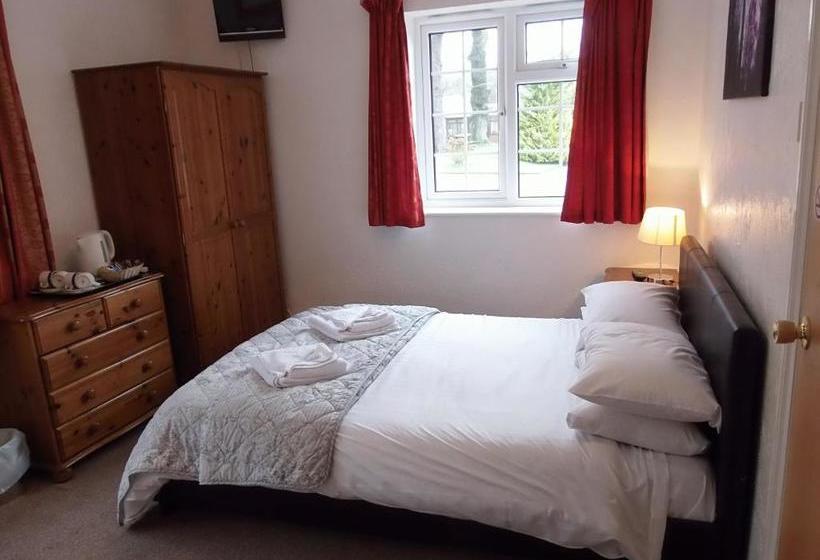 Отель Betty Cottles Inn