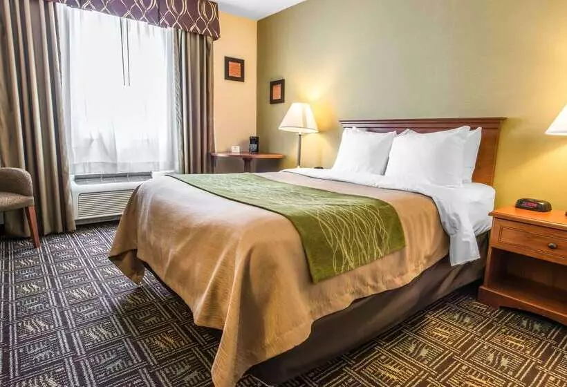 فندق Comfort Inn