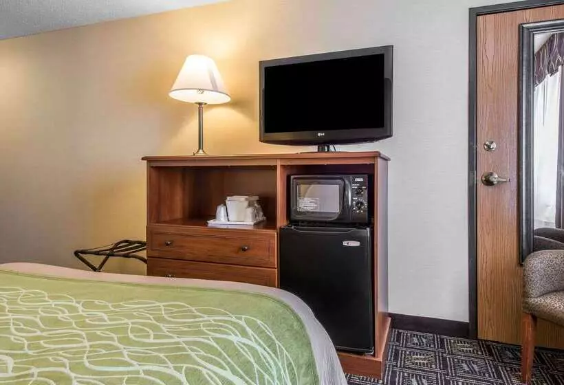 فندق Comfort Inn