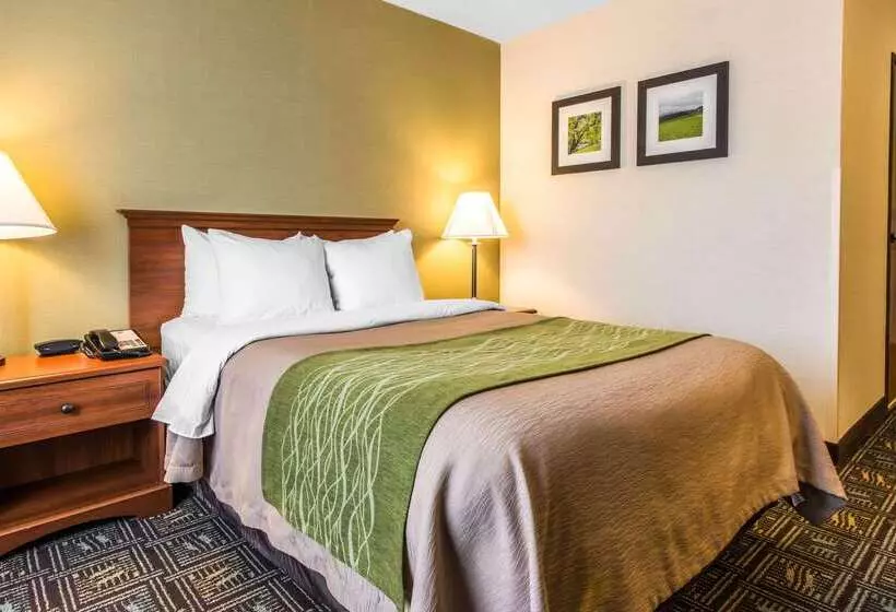 فندق Comfort Inn