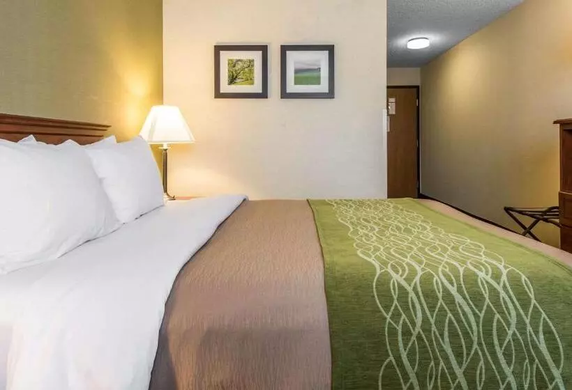 فندق Comfort Inn