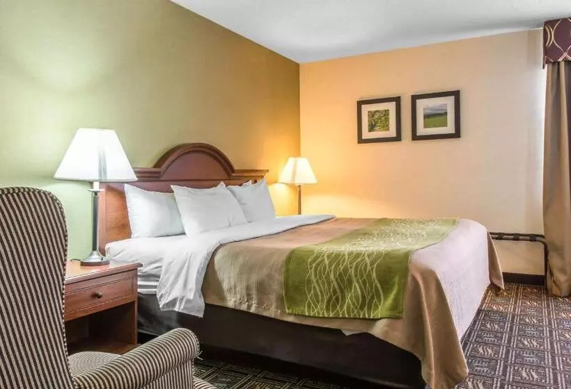 فندق Comfort Inn