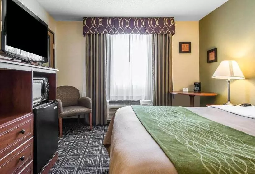 فندق Comfort Inn