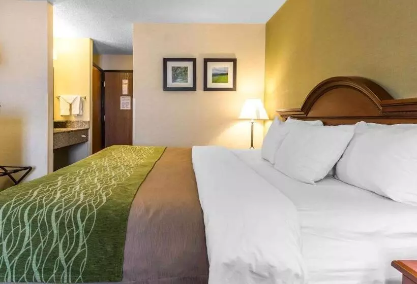 فندق Comfort Inn