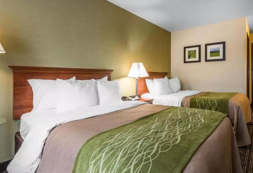 فندق Comfort Inn