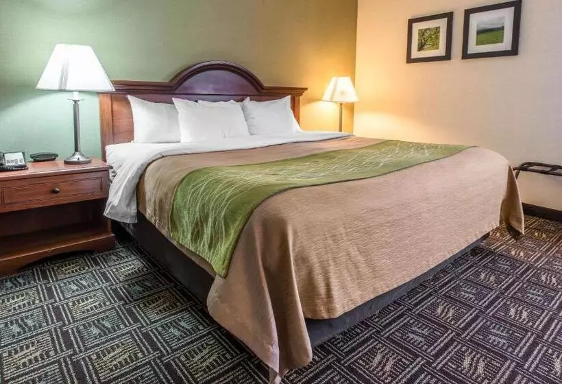 فندق Comfort Inn