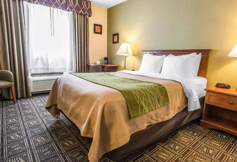 فندق Comfort Inn