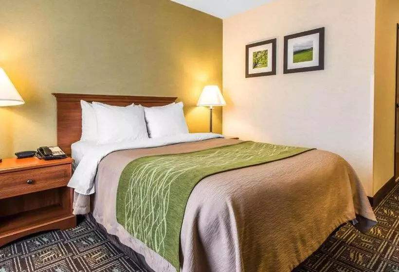 فندق Comfort Inn