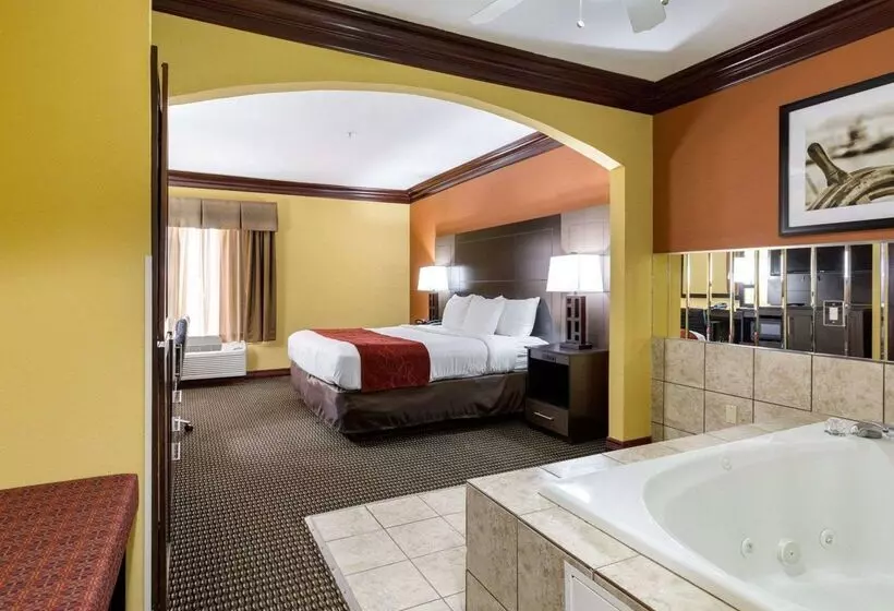 ホテル Comfort Suites Lake Jackson Clute