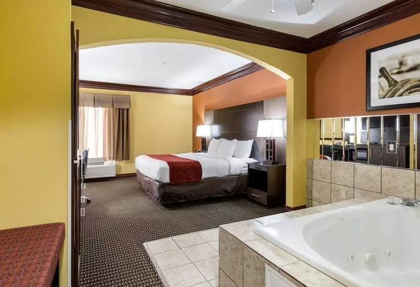 ホテル Comfort Suites Lake Jackson Clute