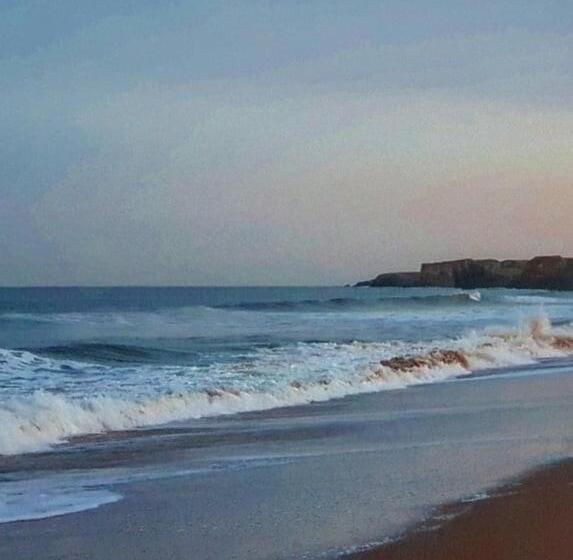 فندق Elmswood Guest House