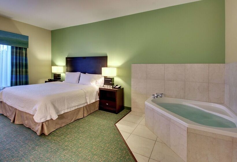 בית מלון כפרי Hampton Inn Vernon