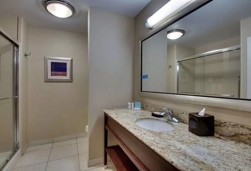 ホテル Hampton Inn Vernon